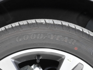 2022Ŀ Ecoboost 170 I(lng) ݆̥Ʒ