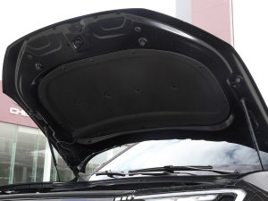 2022O EcoBoost 170 Ӱ lәCœ