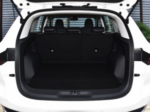 2022EcoBoost 170 KI g