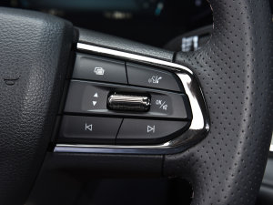 2022款EcoBoost 170 铂领型 音响调节