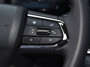 2022款EcoBoost 170 精领型 音响调节