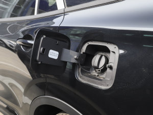 2022O EcoBoost 170 Ӱ w