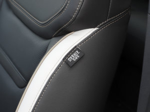 2022O EcoBoost 170 Ӱ п؅^