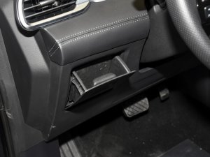 2023EcoBoost 225 KI 7(2/3/2) g