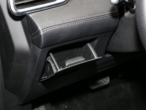 2023EcoBoost 225 KI(lng) 7(2/2/3) g