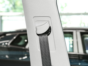 2023EcoBoost 225 KI(lng) 7(2/2/3) g