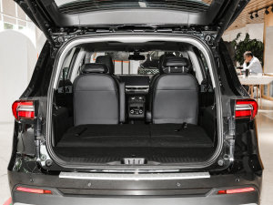 2023EcoBoost 225 KI(lng) 7(2/2/3) g