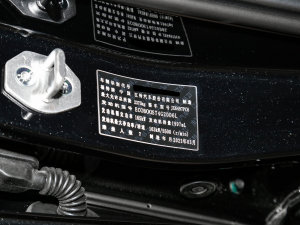 2023款EcoBoost 225 铂领型 7座(2/2/3) 其它