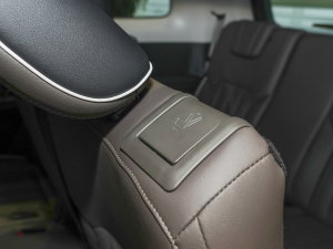 2023EcoBoost 225 I 7(2/3/2) g