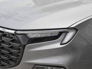 2023EcoBoost 225 ׃AȰIPLUS 7(2/2/3) ^