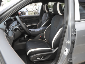 2023款EcoBoost 225 黑曜倾橙版尊领型PLUS 7座(2/2/3) 主驾驶座椅