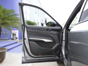 2023EcoBoost 225 ׃AȰI(lng)PLUS 7(2/2/3) {λ܇T