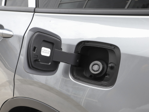 2023EcoBoost 225 ׃AȰI 7(2/2/3) w