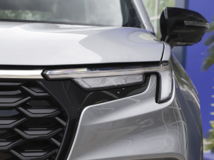 2023EcoBoost 225 ׃AȰI 7(2/2/3) ^