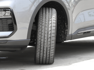 2023EcoBoost 225 ׃AȰI 7(2/2/3) ^