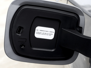 2023EcoBoost 225 ׃AȰI 7(2/2/3) ^