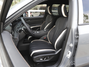 2023款EcoBoost 225 黑曜倾橙版尊领型 7座(2/2/3) 主驾驶座椅