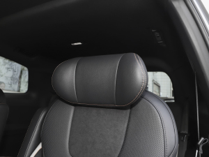 2023EcoBoost 225 ׃AȰI 7(2/2/3) g