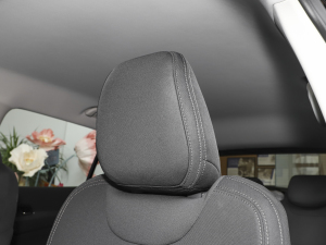 2023EcoBoost 170 I g