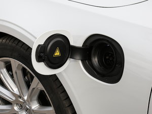 2018T8 E(q) su  V (ji)^