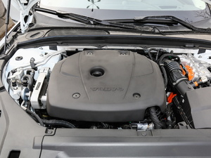 2018T8 E(q)(dng) su(y)  (gu)V 