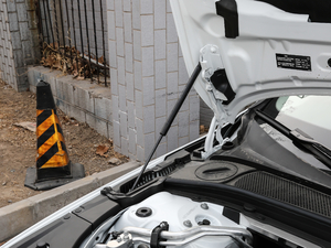 2018T8 E(q)(dng) su(y)  (gu)V 