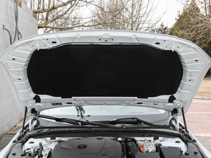 2018T8 E(q)(dng) su(y)  (gu)V 