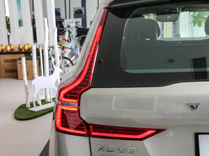 2019T5 (q)źA (gu)V (x)(ji)^