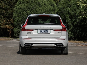 2019T8 E(q)\(yn)Ӱ V (x)(ji)^