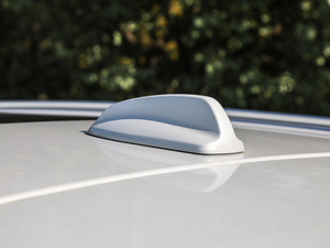 2019T8 E(q)(dng)\(yn)(dng) V (x)(ji)^