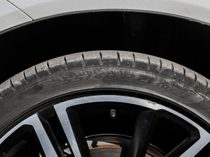 2019T8 E\Ӱ V ݆̥ߴ