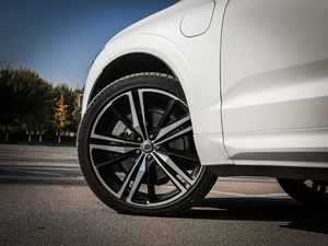 2019T8 E(q)(dng)\(yn)(dng) V (x)(ji)^