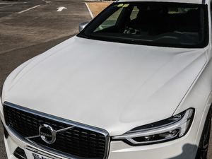 2019T8 E(q)(dng)\(yn)(dng) V (x)(ji)^