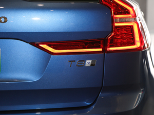 2019T8 E(q)(dng)\(yn)(dng) VI (x)(ji)^