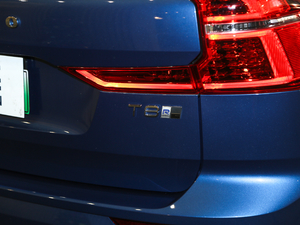 2019T8 E(q)(dng)\(yn)(dng) VI (x)(ji)^