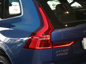 2019T8 E(q)(dng)\(yn)(dng) VI (x)(ji)^