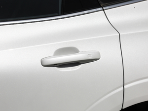 2019T8 E(q)(dng)A (gu)VI (x)(ji)^