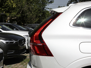 2019T8 E(q)(dng)A (gu)VI (x)(ji)^