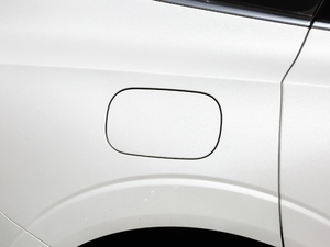 2019T8 E(q)(dng)A (gu)VI (x)(ji)^