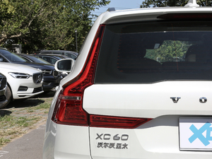 2019T8 E(q)(dng)A (gu)VI (x)(ji)^