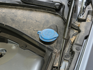 2019T8 E(q)(dng) Ű VI 