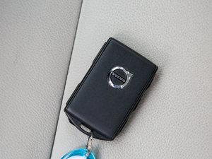 2020T4 (q) źA ܇耳