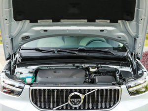 2020T4 (q) źA l(f)(dng)C(j)