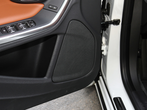 2019L Ŀ 2.0T T5 SӢ g