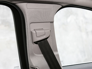 2019L Ŀ 2.0T T5 SӢ g