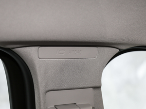 2019L Ŀ 2.0T T5 SӢ g