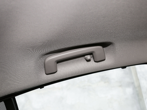 2019L Ŀ 2.0T T5 SӢ g