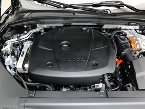 2020T8 E(q)(dng) ݺA 