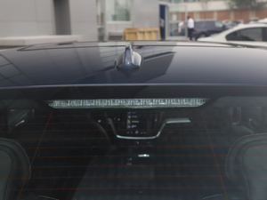 2021T8 E(q)(dng) (q)\(yn)(dng) (x)(ji)^