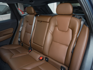 2022T8 늻(dng) L(zhng)m(x)(q)h(yun)A 